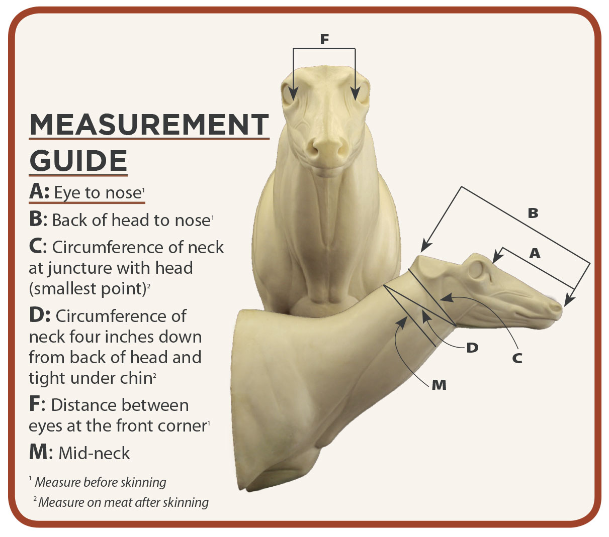 8800 WHITETAIL PEDESTAL