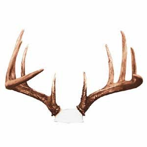 ANTLER REPRODUCTIONS