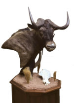 Black Wildebeest, G-GNU32P, Mount by JIm Allred, Right turn, Pedestal