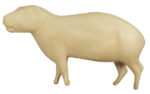 Capybara, Lifesize