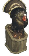 slanted turkey pedestal